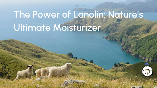 The Power of Lanolin: Nature’s Ultimate Moisturizer